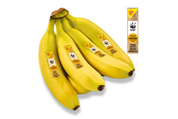 Netto Marken-Discount Stiftung & Co. KG