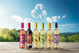 WNTN GmbH