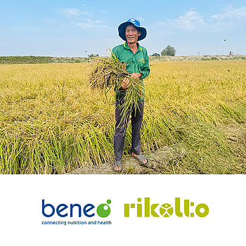 Rikolto & BENEO: Nachhaltiger Reisanbau in Vietnam