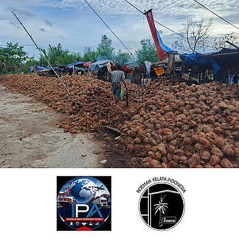 STOP BURNING COCOHUSK (Coconut Nexus & Kokos 360)