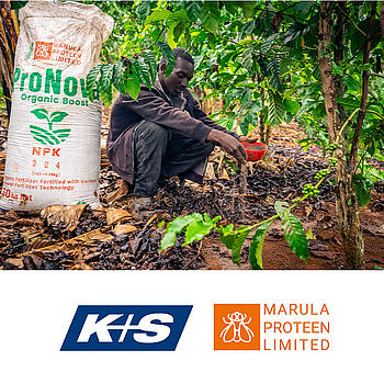 Marula Proteen Ltd. / Grainpulse Limited