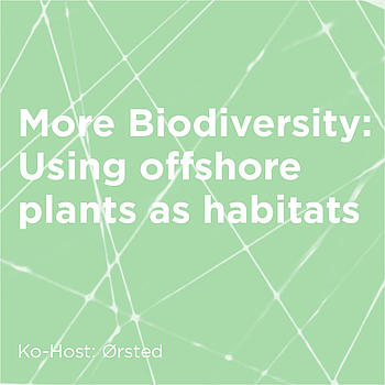 More Biodiversity: Using offshore plants as habitats